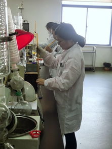 探秘松江 年銷(xiāo)超50億的“隱形冠軍”食品工廠(chǎng)背后的科技密碼